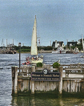 qM3MontaukHarborsailLA