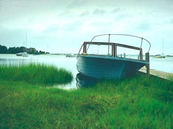 G53swoodenboatgrass