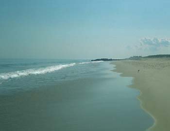 T11Osceanbeach