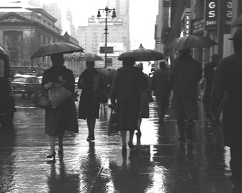 L25Rainydayonfifthave