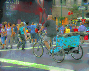 bikecab08lakpzsat